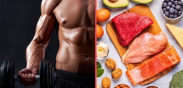 پودر پروتئین گیاهی و عضله ساز + راهنمایی کامل