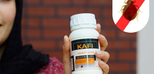 بهترین سم برای از بین بردن ساس دیجی کالا