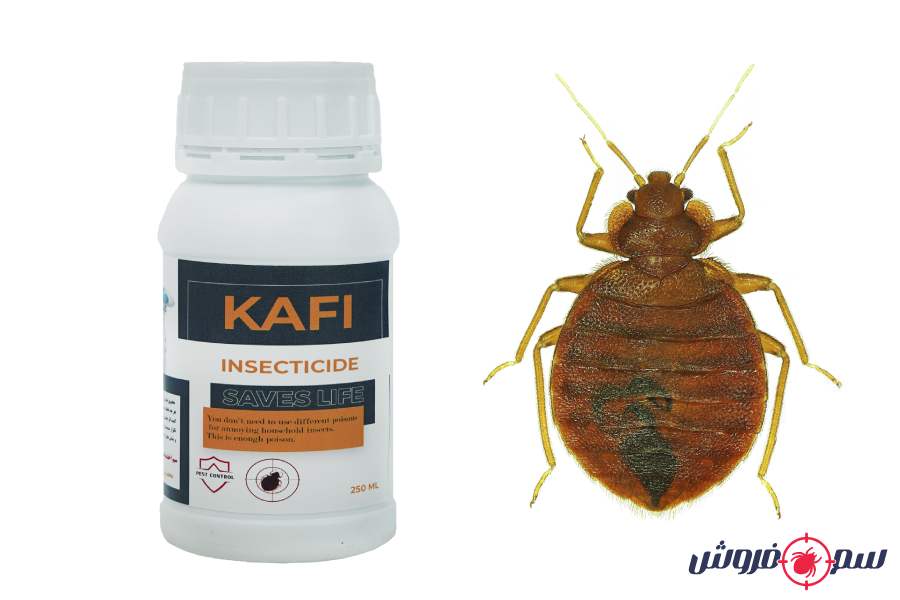 سم ساس کافی &ndash; Kafi : بهترین سم ساس دیجی کالا