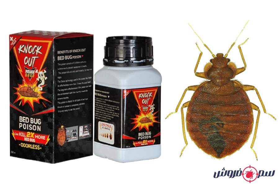 سم ساس ناک اوت Knock Out 2X : قوی ترین سم ساس دیجی کالا (تکنولوژی سوئیس)